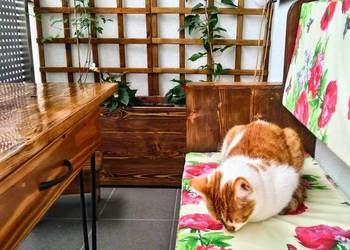 Ława, ławka drewniana na balkon, taras, do przedpokoju. Hand made.