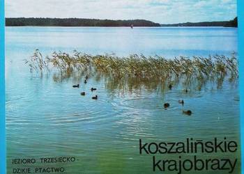 Przewodniki wędkarsko-turystyczne