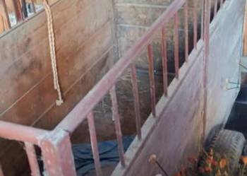 Przyczepka do koni/bydła