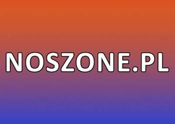 Domena internetowa noszone.pl