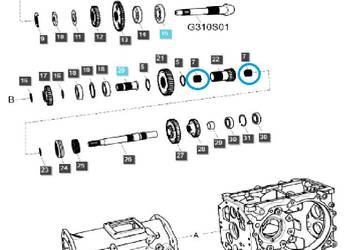Łożysko igiełkowe TRG285 / LS Tractor / 40007818