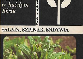 Sałata, szpinak, endywia - B. Martyniak- Przybyszewska