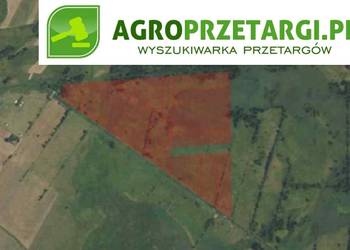 Dzierżawa 72,61 ha