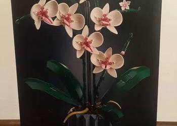 KLOCKI LEGO PIĘKNY KWIAT STORCZYK orchidea creator expert