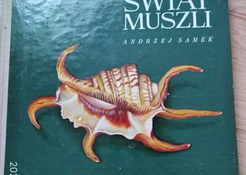 świat muszli andrzej samek