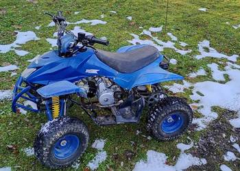 Sprzedam quada Bashan 110cm 1+R
