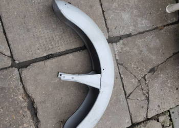 panonia blotnik przedni