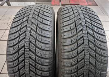 Opony zimowe nexen 195 60 r15