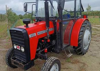 MF Massey Ferguson 255 sadowniczy jak 3502