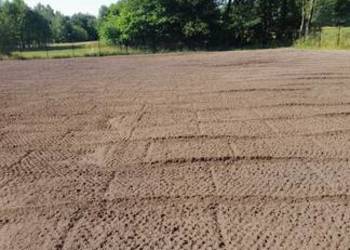 Ogrody,trawniki,sianie trawy