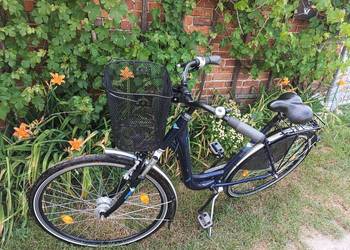 Rower Zundapp damka