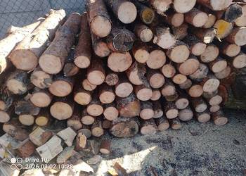 Sprzedam sosnę opałowa