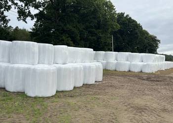 Sianokiszonka z traw polnych 2025, cięta 1-2 pokos