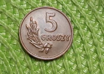 moneta polska 5 groszy z 1949r