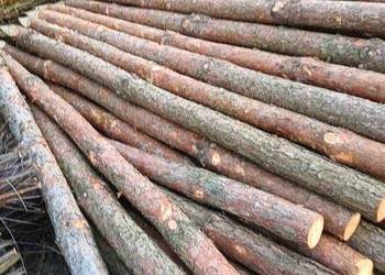 Kołki/Słupki ogrodzeniowe