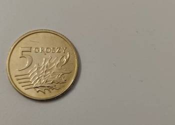 5 gr 2023 stan menniczy
