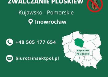 Zwalczanie pluskiew Inowrocław - Odpluskwianie, Dezynsekcja