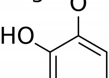 Gwajakol Guaiacol 2-Methoxyphenol >99.9% 10ml
