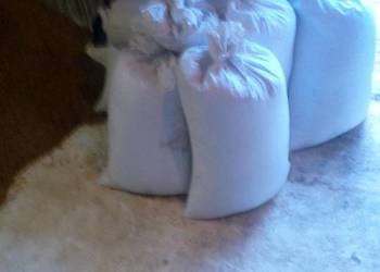 Sprzedam Pasze dla zwierząt