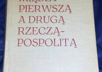 Między pierwszą a drugą Rzecząpospolitą - Irena Koberdowa