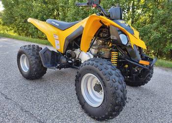 Can AM ds 250 2009r.