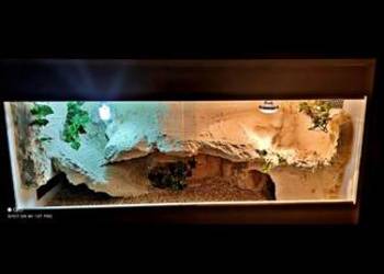 Okazja terrarium dla agamy gekona żółwia węża kameleona legwana boa pająka