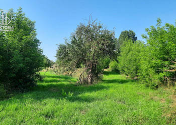 Oferta sprzedaży działki Boguszewo 4300m