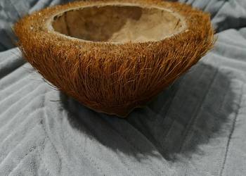 Donica z orzecha kokosowego