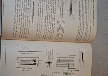 Badania konstrukcji mostowych