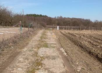 Działka budowlana Brochocin gmina Trzebnica