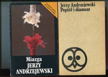 Popiół i diament  + Miazga - Jerzy Andrzejewski