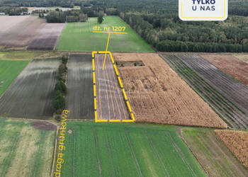 Działka rolna 7300m², przy rzece - Kolembrody