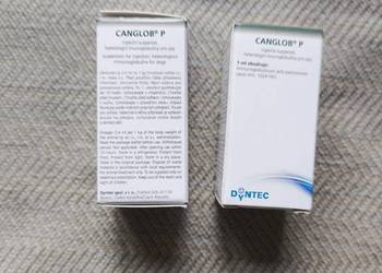 CANGLOB P - surowica dla psów i kotów parwowiroza