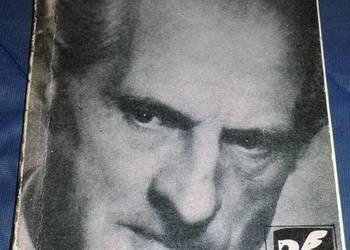 Poezje wybrane - Julian Tuwim