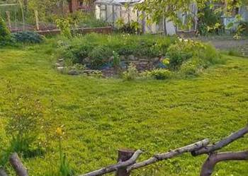 Sprzedam prawo do dzierżawy działki ROD w Relax Białystok, 400 m2