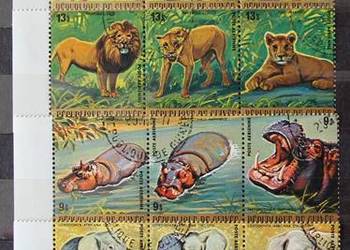 Gwinea fauna Afryki (lotnicze)