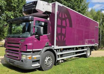 Scania CHŁODNIA SUPRA 955 MT CHŁODNIA 20 EURO-PALET TYLKO 447 628 km