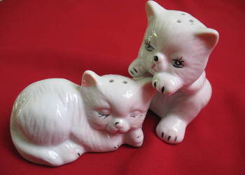 Sól i pieprz - Kotki - Solniczka i pieprzniczka