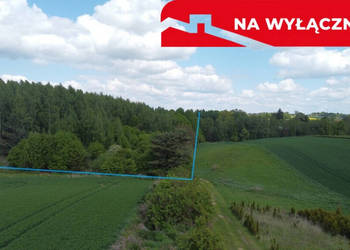 Działka 2,15 ha z potencjałem koło Nałęczowa. Działka 2,15 ha z potencjałem koło Nałęczowa.