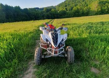 Yamaha raptor 350 yfm zarejestrowany