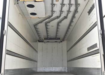 Chlodnia hakowka Man Tgs