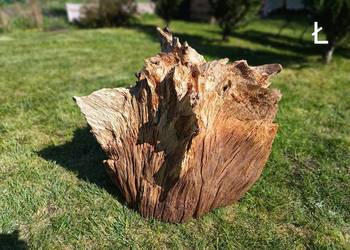 Korzeń ozdobny do domu, ogrodu, akwarium