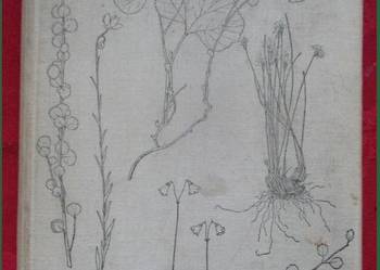 Szata roślinna Polski - Szafer /roślinność/Polska