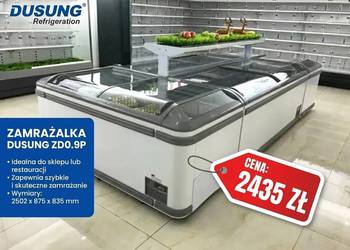 Zamrażarka Dusung ZD0.9P