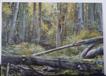 Obraz olejny 50x70 cm Bieszczady