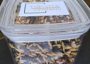 Top Vita Ziemniak - mieszanka poplonowa - Top Farms
