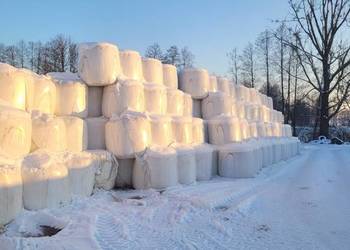 Sprzedam sianokiszonkę i słomę prasa mchale