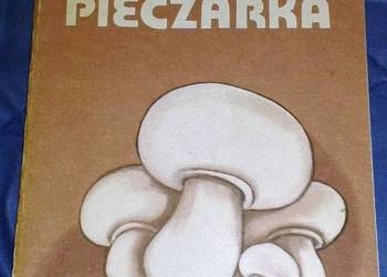 Pieczarka - Krystian Szudyga