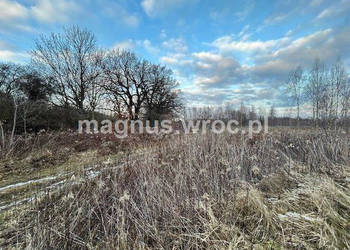 Oferuję działke inwestycyjną w Jerzmanowie