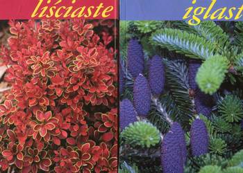 Karłowe drzewa i krzewy liściaste + Iglaste - Adam Marosz